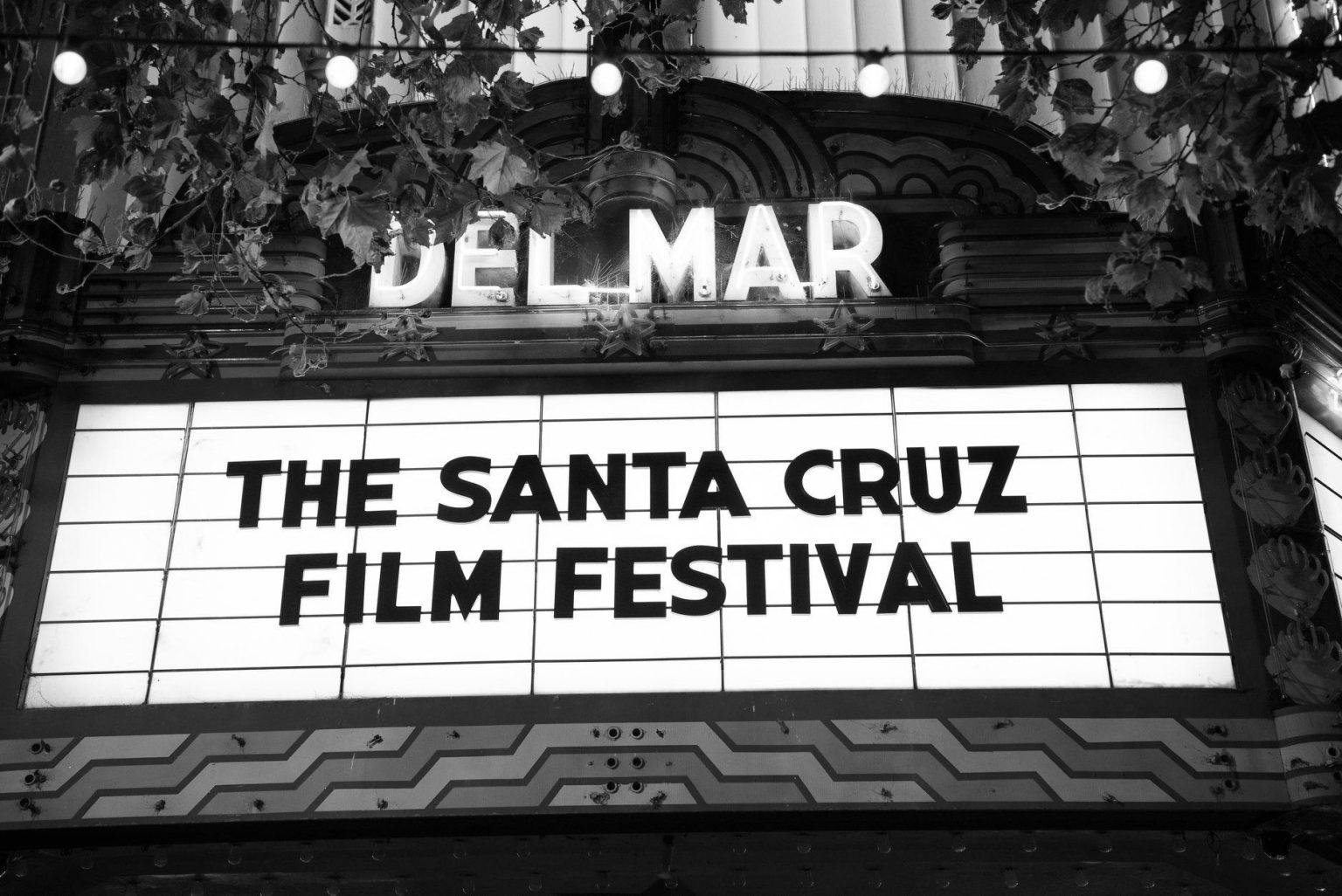 Santa Cruz Film Festival Non Profit Arts Organization